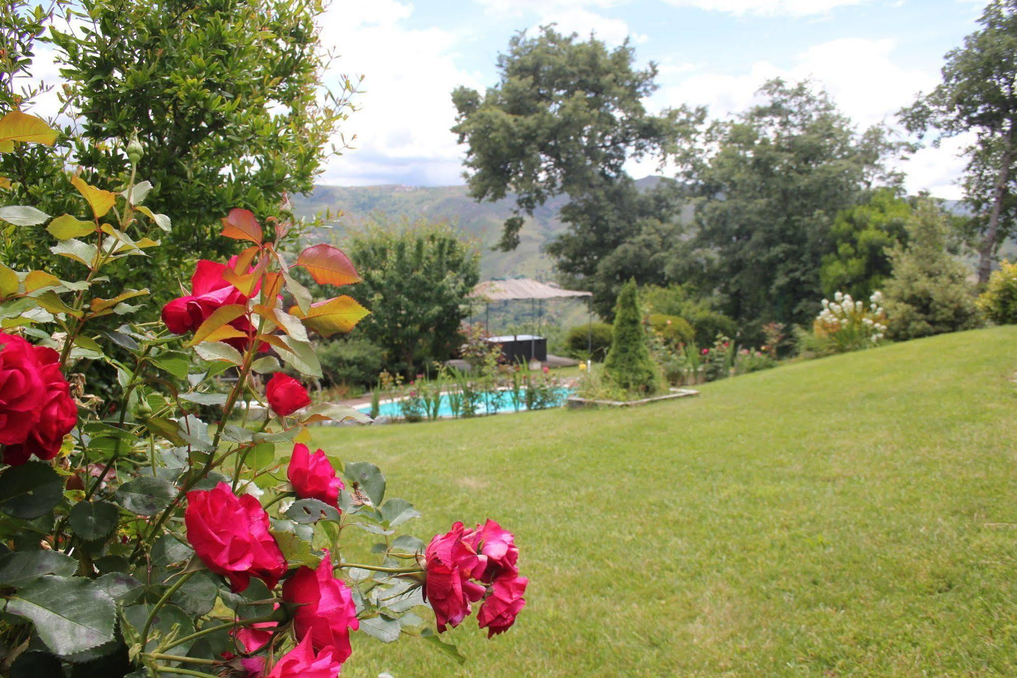 Casa De Tapadeiro Villa Resende Buitenkant foto